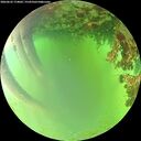 ./images/calvert/underwater/20260622/underwater20260622_174001M.jpg