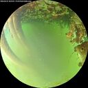 ./images/calvert/underwater/20260622/underwater20260622_182501M.jpg