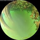 ./images/calvert/underwater/20260622/underwater20260622_184002M.jpg