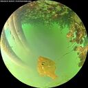 ./images/calvert/underwater/20260622/underwater20260622_184501M.jpg