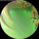 ./images/calvert/underwater/20260622/underwater20260622_191501M.jpg
