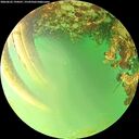 ./images/calvert/underwater/20260622/underwater20260622_194501M.jpg