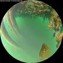 ./images/calvert/underwater/20260622/underwater20260622_204001M.jpg