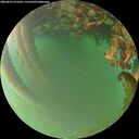 ./images/calvert/underwater/20260622/underwater20260622_212501M.jpg