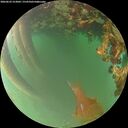 ./images/calvert/underwater/20260622/underwater20260622_213001M.jpg