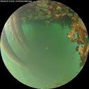 ./images/calvert/underwater/20260622/underwater20260622_213501M.jpg