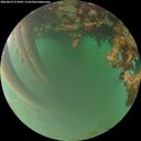 ./images/calvert/underwater/20260622/underwater20260622_214501M.jpg