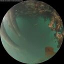 ./images/calvert/underwater/20260622/underwater20260622_220501M.jpg