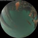 ./images/calvert/underwater/20260622/underwater20260622_221001M.jpg