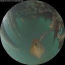 ./images/calvert/underwater/20260622/underwater20260622_221501M.jpg