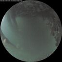 ./images/calvert/underwater/20260623/underwater20260623_044502M.jpg