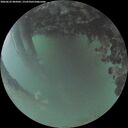 ./images/calvert/underwater/20260623/underwater20260623_045002M.jpg