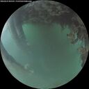 ./images/calvert/underwater/20260623/underwater20260623_045501M.jpg