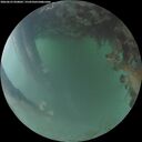 ./images/calvert/underwater/20260623/underwater20260623_050002M.jpg