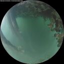 ./images/calvert/underwater/20260623/underwater20260623_050501M.jpg