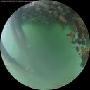 ./images/calvert/underwater/20260623/underwater20260623_052001M.jpg