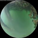 ./images/calvert/underwater/20260623/underwater20260623_052502M.jpg