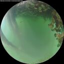 ./images/calvert/underwater/20260623/underwater20260623_053501M.jpg