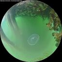 ./images/calvert/underwater/20260623/underwater20260623_055501M.jpg
