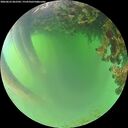 ./images/calvert/underwater/20260623/underwater20260623_062501M.jpg