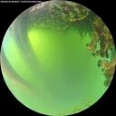 ./images/calvert/underwater/20260623/underwater20260623_064002M.jpg
