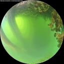 ./images/calvert/underwater/20260623/underwater20260623_064501M.jpg