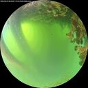 ./images/calvert/underwater/20260623/underwater20260623_065002M.jpg