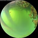 ./images/calvert/underwater/20260623/underwater20260623_065501M.jpg
