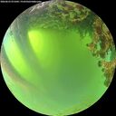 ./images/calvert/underwater/20260623/underwater20260623_071001M.jpg