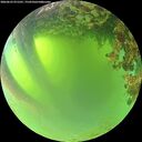 ./images/calvert/underwater/20260623/underwater20260623_071501M.jpg