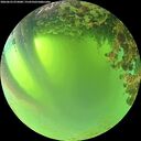 ./images/calvert/underwater/20260623/underwater20260623_072001M.jpg