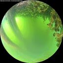 ./images/calvert/underwater/20260623/underwater20260623_072501M.jpg