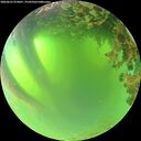 ./images/calvert/underwater/20260623/underwater20260623_073001M.jpg