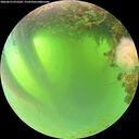 ./images/calvert/underwater/20260623/underwater20260623_073502M.jpg