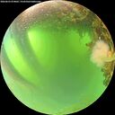 ./images/calvert/underwater/20260623/underwater20260623_074002M.jpg