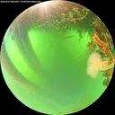 ./images/calvert/underwater/20260623/underwater20260623_081001M.jpg