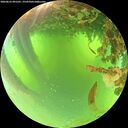 ./images/calvert/underwater/20260623/underwater20260623_091501M.jpg