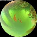 ./images/calvert/underwater/20260623/underwater20260623_092001M.jpg