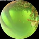./images/calvert/underwater/20260623/underwater20260623_093001M.jpg