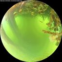 ./images/calvert/underwater/20260623/underwater20260623_095001M.jpg
