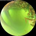 ./images/calvert/underwater/20260623/underwater20260623_095501M.jpg