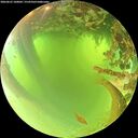 ./images/calvert/underwater/20260623/underwater20260623_100001M.jpg