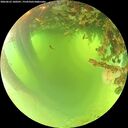 ./images/calvert/underwater/20260623/underwater20260623_100501M.jpg