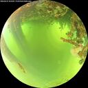 ./images/calvert/underwater/20260623/underwater20260623_101001M.jpg