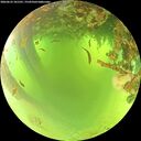 ./images/calvert/underwater/20260623/underwater20260623_101501M.jpg