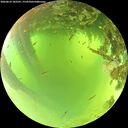 ./images/calvert/underwater/20260623/underwater20260623_103501M.jpg