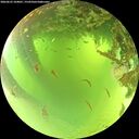 ./images/calvert/underwater/20260623/underwater20260623_104001M.jpg