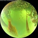 ./images/calvert/underwater/20260623/underwater20260623_104501M.jpg