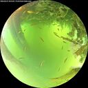 ./images/calvert/underwater/20260623/underwater20260623_105501M.jpg