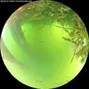 ./images/calvert/underwater/20260623/underwater20260623_110001M.jpg